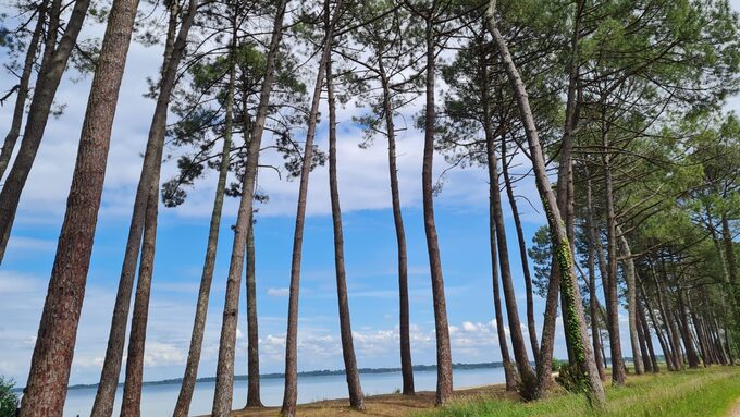 vue_panoramique.jpg
